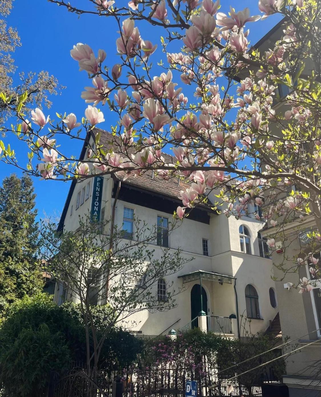 Villa Irena Sopot Dış mekan fotoğraf